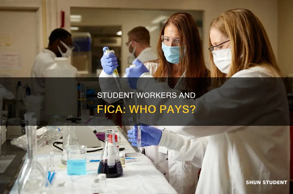 does student worker need to pay fica