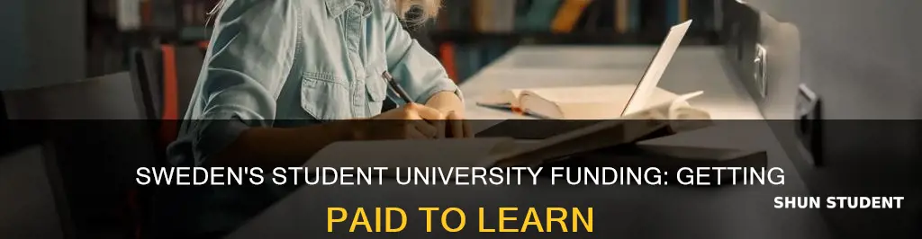 does sweden pay students to go to university