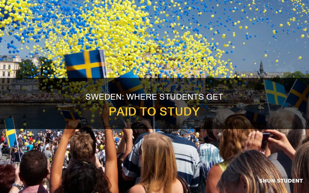 does sweden pay students to go to university