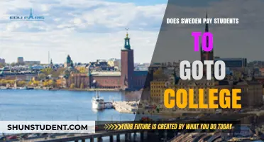 Free Money for College: Sweden's Education Revolution