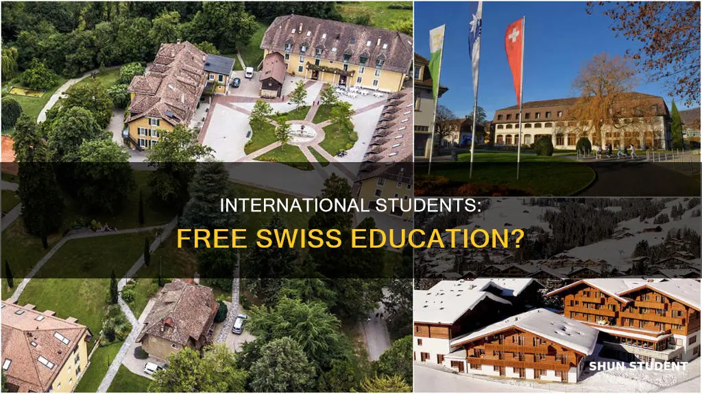 does switzerland have free education for international students
