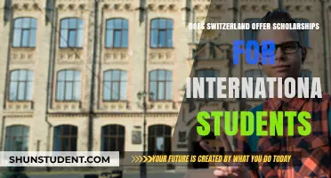 International Students: Swiss Scholarships Available?