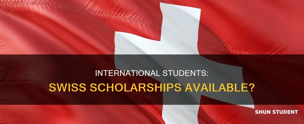 does switzerland offer scholarships for international students
