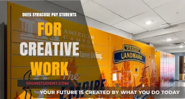 Syracuse Students: Get Paid for Creative Work?