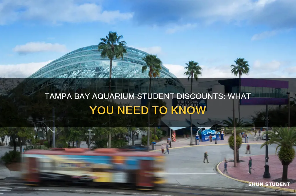 does tampa bay aquarium give student discounts