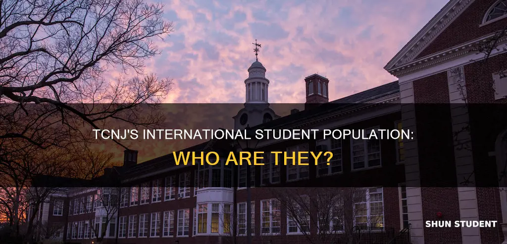 does tcnj have international students
