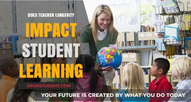 Teacher Longevity: Does Experience Enhance Student Learning Outcomes?