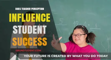 Teacher Perception: Shaping Student Success or Limiting Potential?
