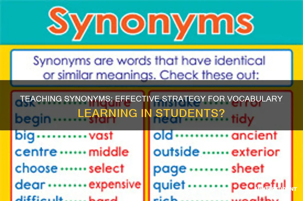 does teaching synonyms help students learn vocabulary