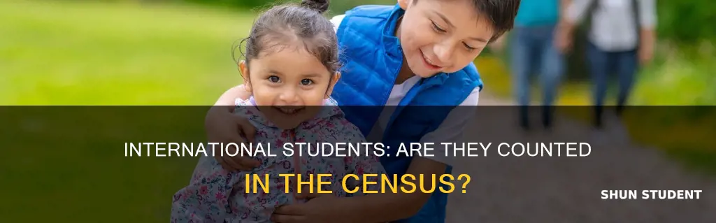 does the census count international students
