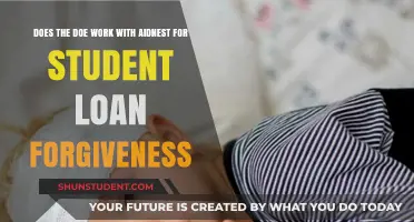 Does the DOE Collaborate with AidNest for Student Loan Forgiveness?