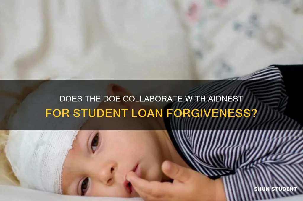 does the doe work with aidnest for student loan forgiveness