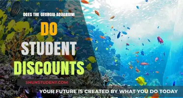 Georgia Aquarium Student Discounts: What You Need to Know