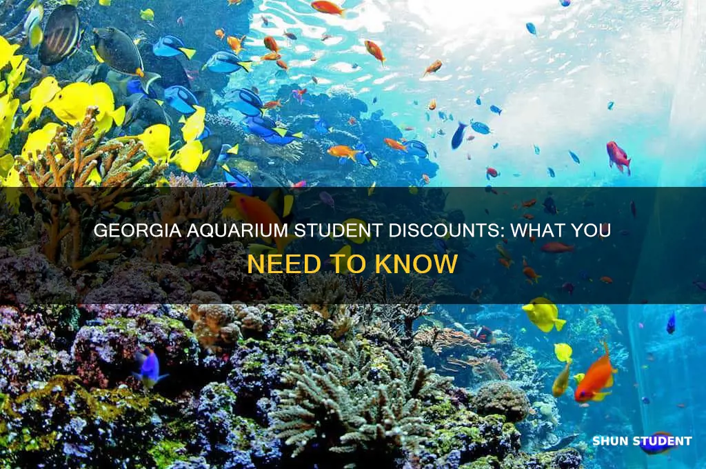 does the georgia aquarium do student discounts