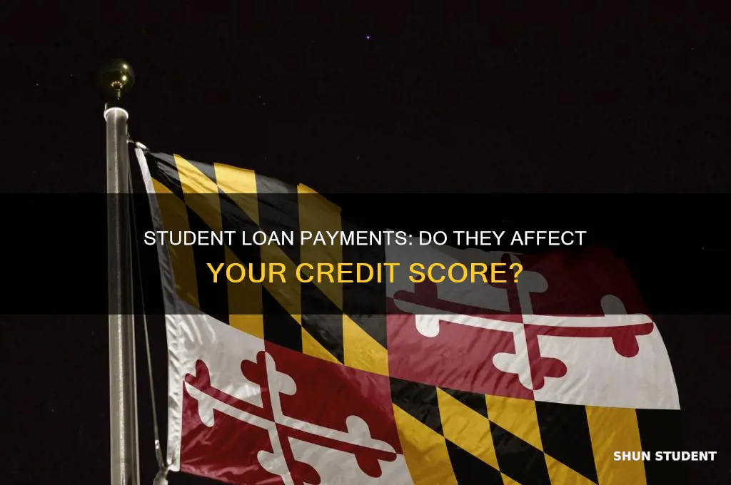 does the government give you credit for paying student loans
