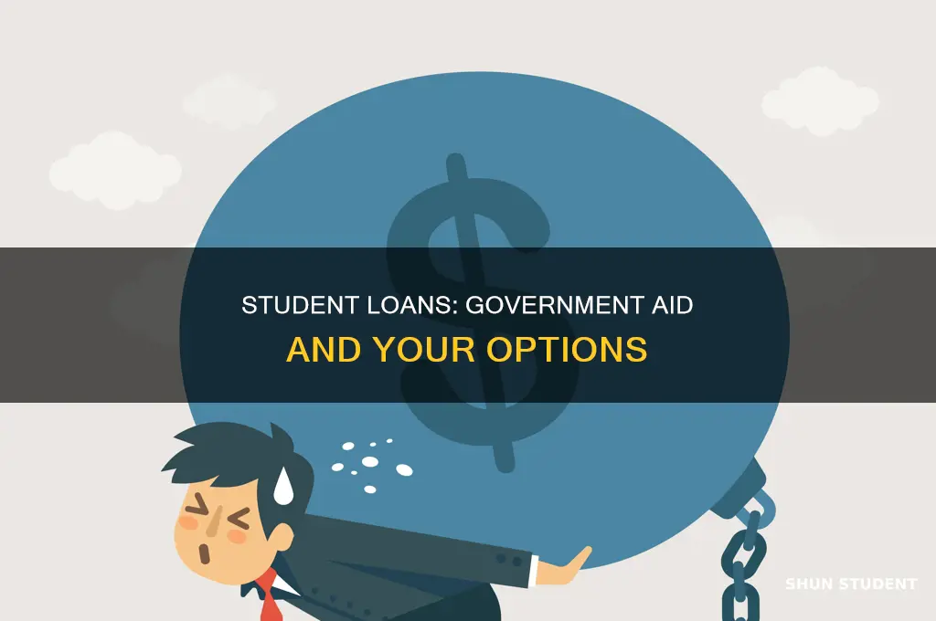 does the government help pay my student loan