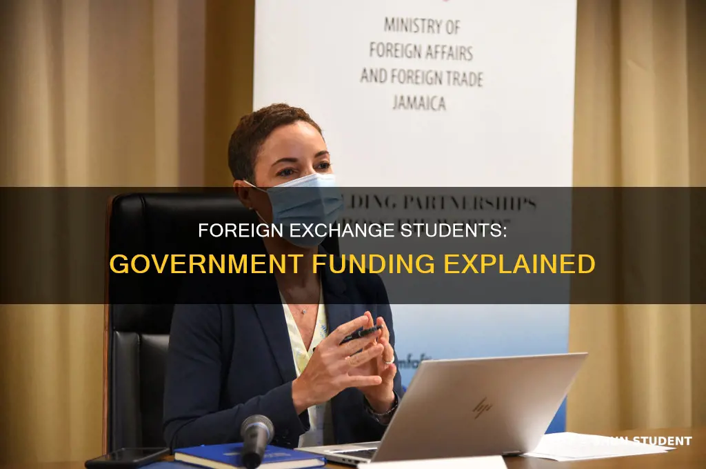 does the government pay fir foreign exchange students
