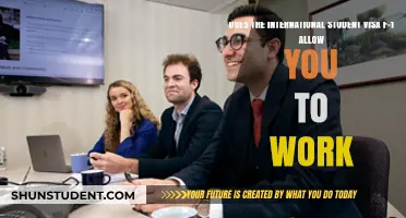 F-1 Visa Work Rights: What International Students Need to Know