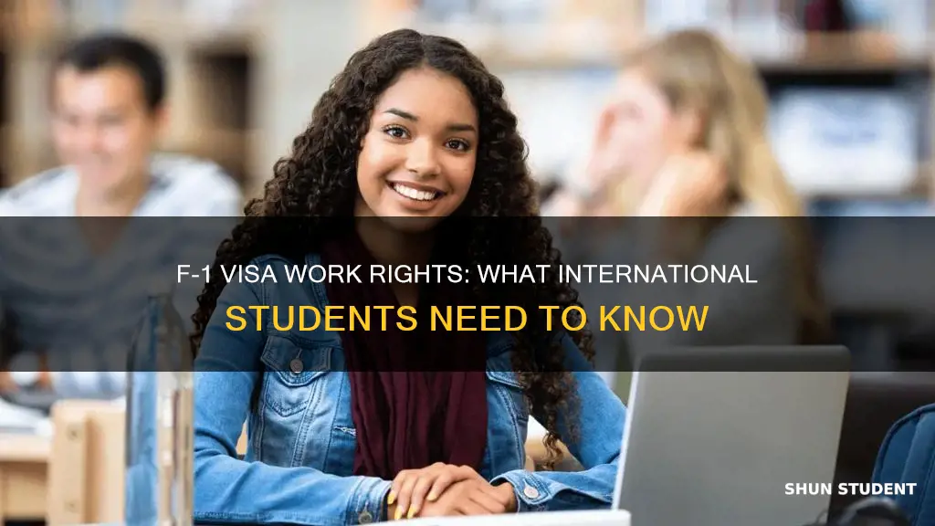 does the international student visa f-1 allow you to work