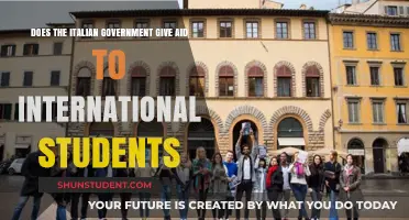 International Students: Italian Government Aid?