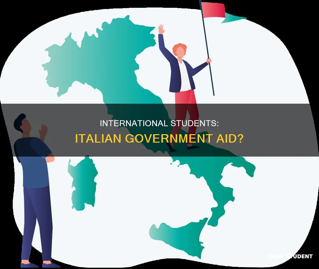 does the italian government give aid to international students
