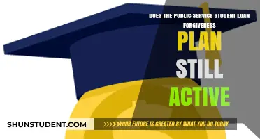 Is Public Service Loan Forgiveness Still Available in 2023?
