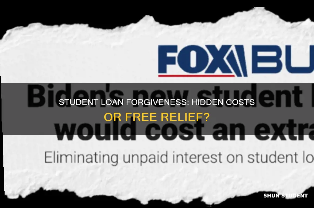 does the student loan forgiveness cost anything