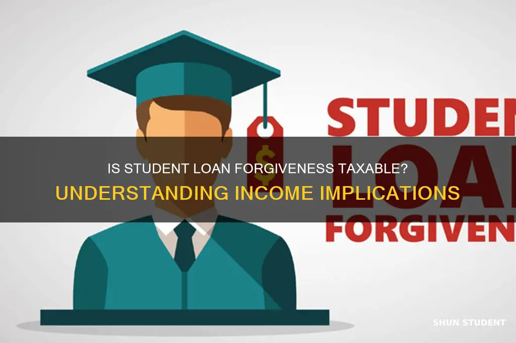 does the student loan forgiveness count as income