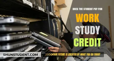 How Work-Study Programs Help Students Earn and Learn