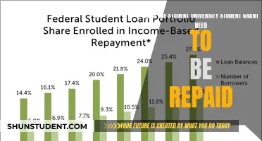 University Grants: Do Students Need to Repay?