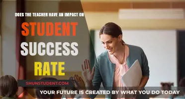 Teacher Influence: Shaping Student Success Rates and Academic Outcomes