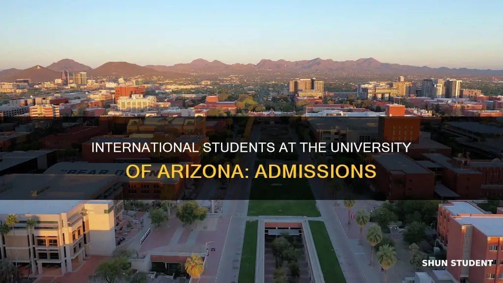 does the university of arizona tuscon admit international students