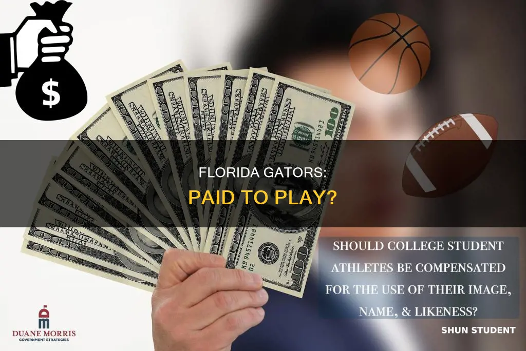 does the university of florida pay their student athletes