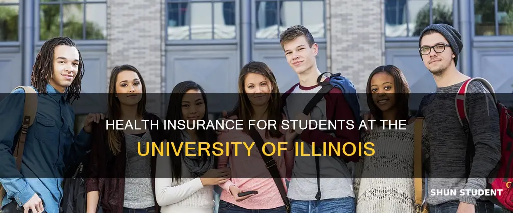 does the university of illinois have health insurance for students