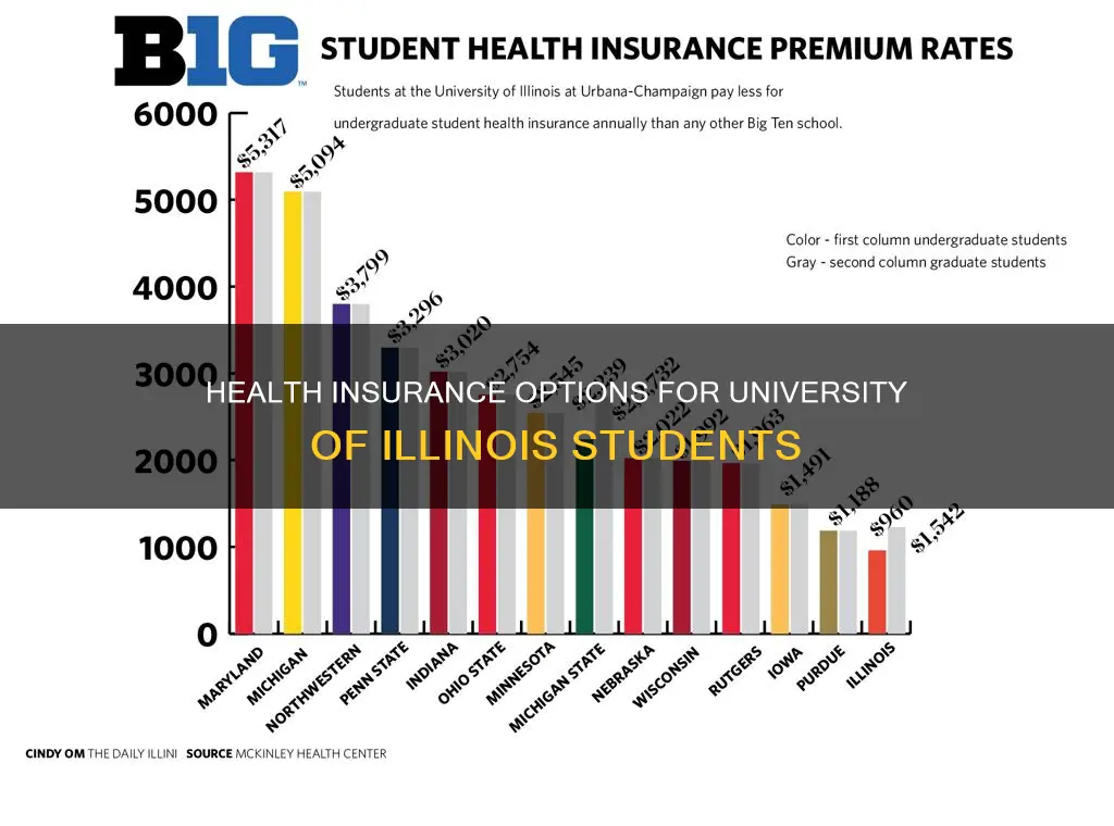 does the university of illinois have health insurance for students