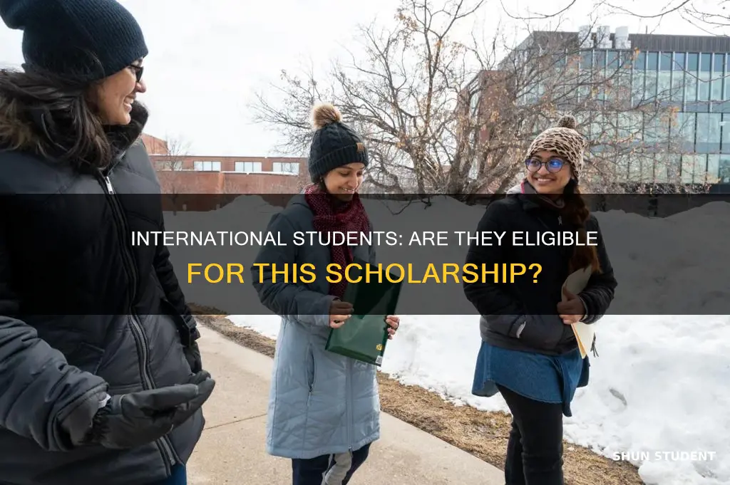 does this scholarship apply the same to international students