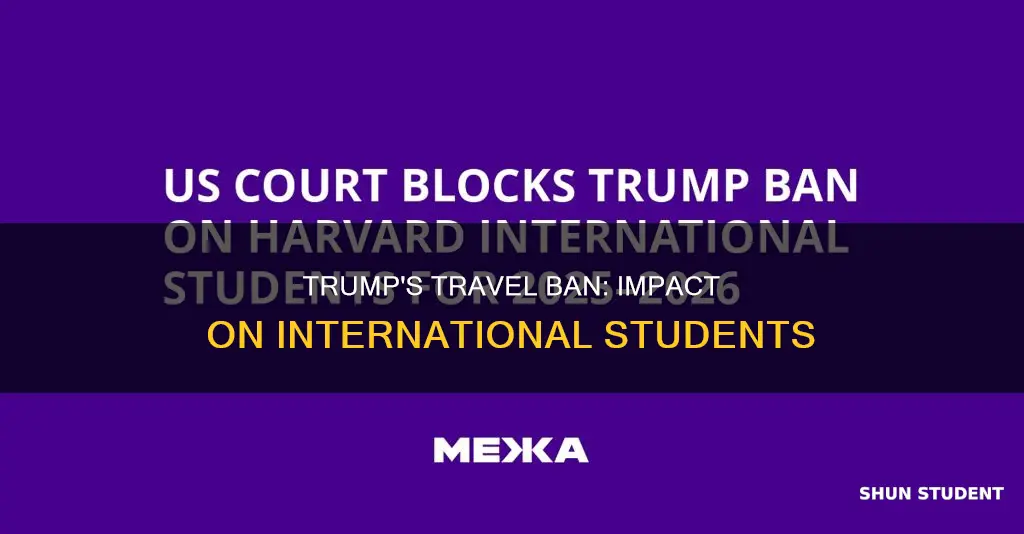 does trump travel ban affect other international student