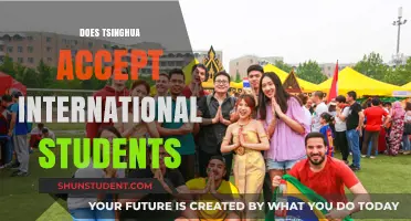International Students at Tsinghua: Who Gets Accepted?