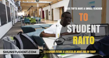 Tufts University: Exploring Its Intimate Teacher-to-Student Ratio