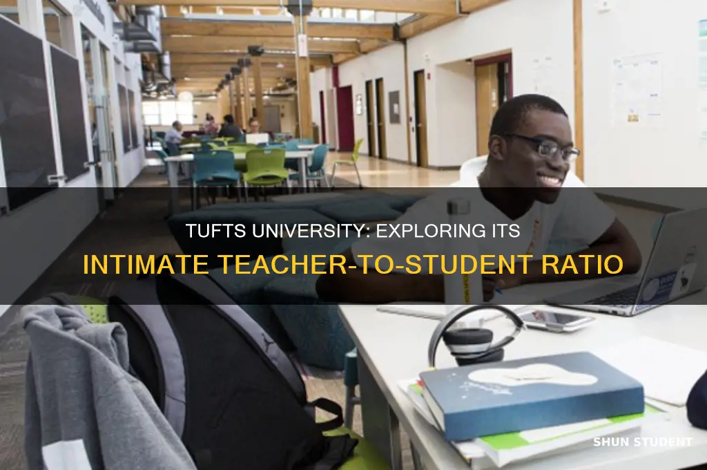 does tufts have a small teacher to student raito