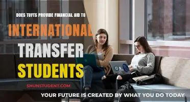 Tufts Financial Aid: Transfer Students' International Options