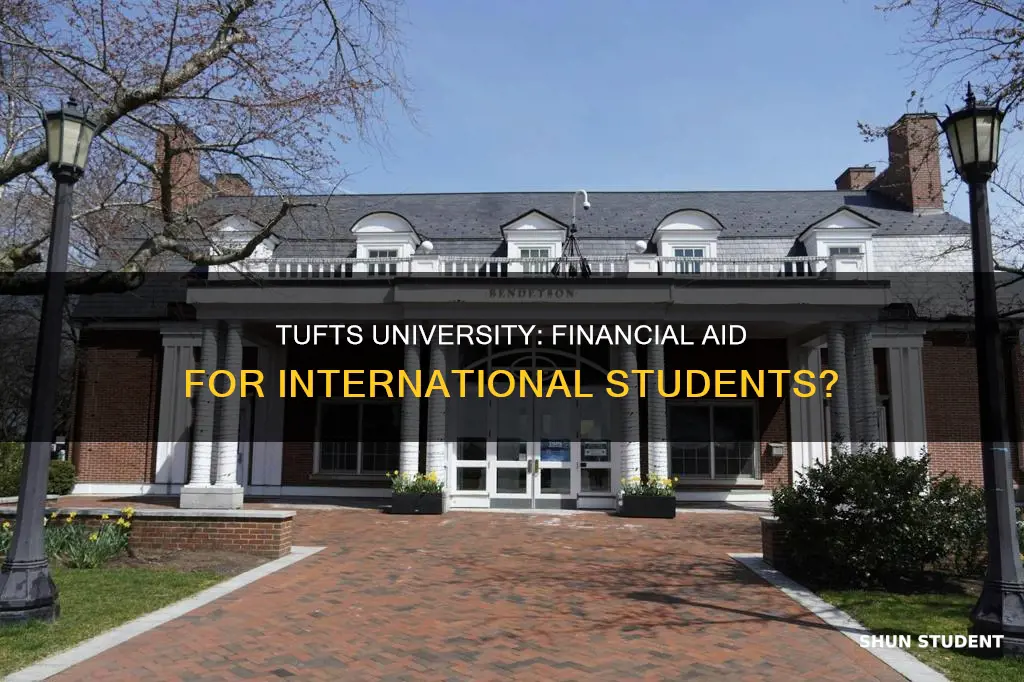 does tufts university give financial aid to international students