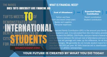 Tufts Financial Aid: Support for International Students?