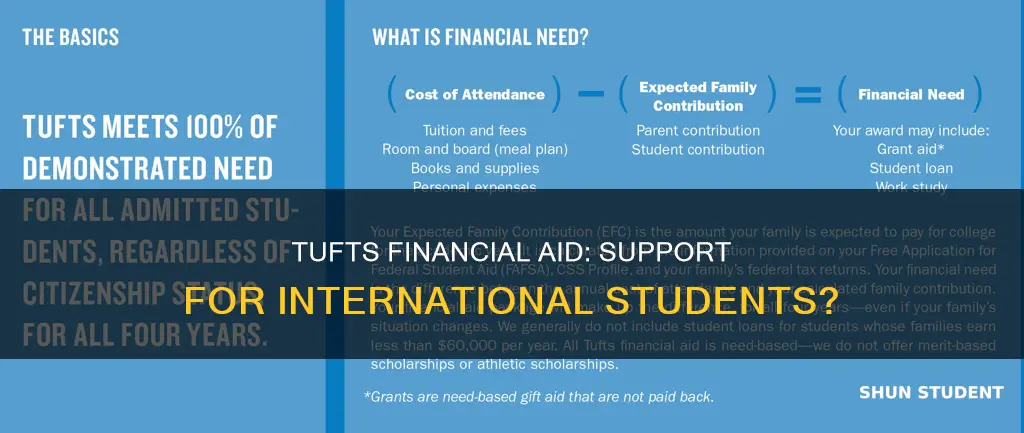 does tufts university give financial aid to international students