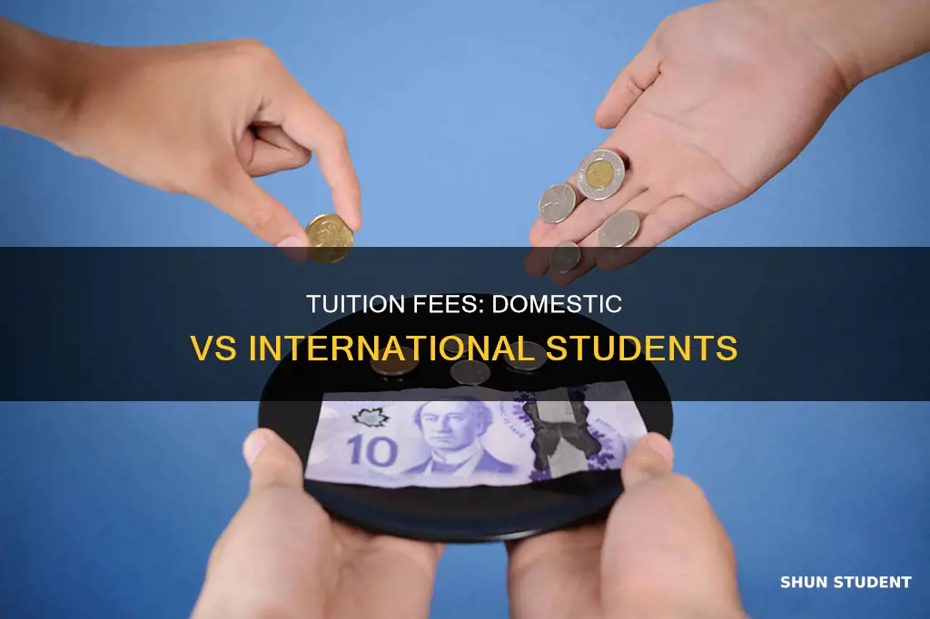 does tuition differ for international student
