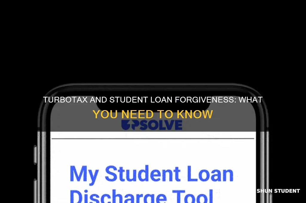 does turbo tax deal with student loan forgiveness programs