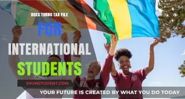 TurboTax for International Students: What You Need to Know