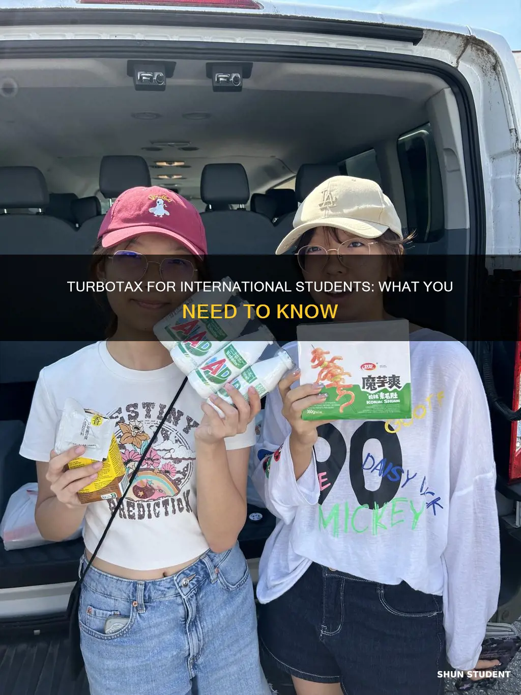 does turbo tax file for international students