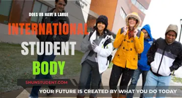 International Students: A Large Presence at UB