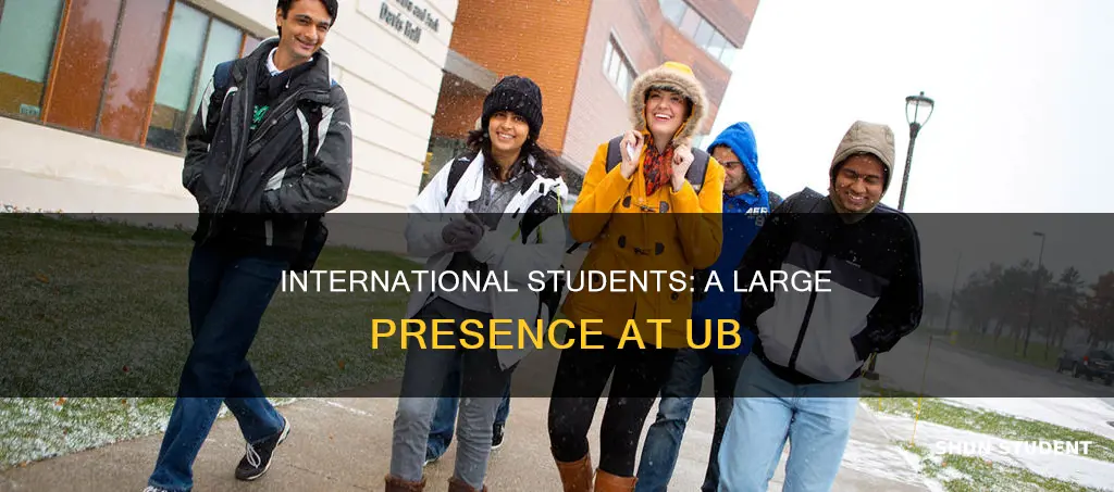 does ub have a large international student body